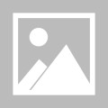 【英冠】谢菲联vs布里斯托尔城比赛结果：谢菲联(1-4)布里斯托尔城比分战报(2025年08月10日)